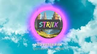 Striix - Neo Peter Pan (VISUALISER)