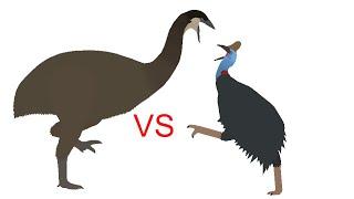 Elephant Bird Vs Cassowary