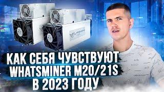 Как себя чувствуют Whatsminer M20/21S в 2023 году?