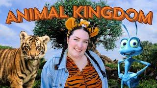 New Baby Tiger Bakso & Last Day for It's Tough to Be a Bug at Disney's Animal Kingdom | Disney World