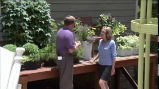 GardenSMART with Vegetables in Containers