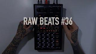NervousCook$ - RAW Beats #36 - Making  A Beat From With The SP-404 MKII Vinyl Sampling