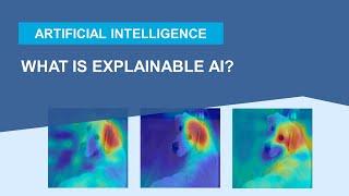 What Is Explainable AI?