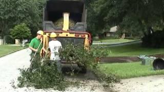 Tree Removal Service Orlando