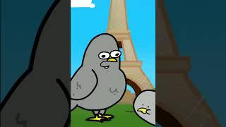 The (amazing) Pigeon ep.2 | Fight ! #shorts