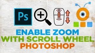 How to Enable Zoom With Scroll Wheel in Photoshop