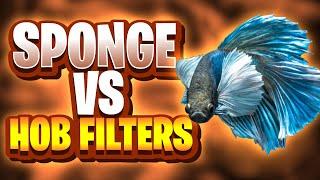 Sponge Filters Vs Hob Filters - Whats The Best Filter For Small To Medium Aquarium Tanks?