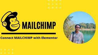 Setup MailChimp Subscription With Elementor PopUp