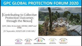 Contributing to Collective Protection Outcomes through the Nexus