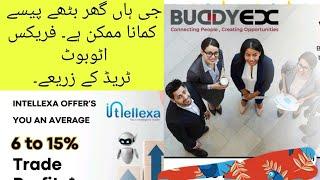 Buddyex Forex bot trade and Networking work from home earn 6% to 15% per month profit