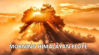 Morning Himalayan Flute Music | Meditation  Flute Music | Mountain Flute| Relax Flute*148@Devianagha