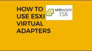 ESXi 8 Working with Virtual Adapters