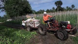 Homemade mini tractor 2