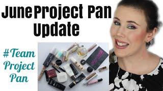 Project Pan 2019 June Update | Year Long Rolling Project Pan