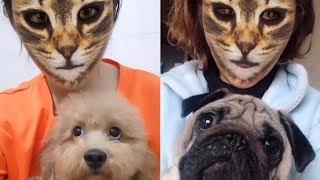 Dogs hilarious reaction when they see cat filter on owners' faces | Funny Dog Videos 2019