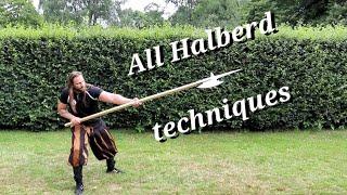 Learn the Art of Combat - All Halberd techniques