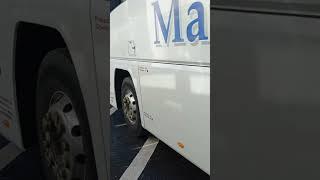 Matthews Coaches | Volvo Plaxton Panther | Route: 901| Destination: Dundalk | 23/03/2023