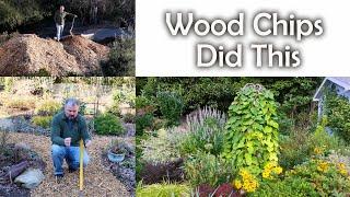 Wood Chips Quickly Changed My Soil - Organic Gardening