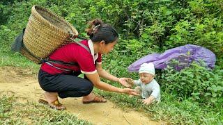 Harvesting bananas for sale - On the way home - accidentally met a baby abandoned by his mother