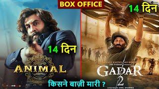 Animal box office collection, gadar 2 box office collection, ranbir kapoor, sunny deol