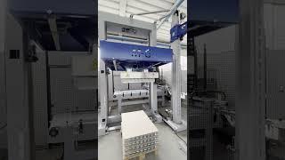 Telescopic Palletizer/depalletizer with magnetic  head By ZETA2 ENGINEERING