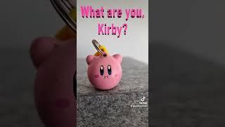 What Are you Kirby? | We love this Tiktok Detector filter!