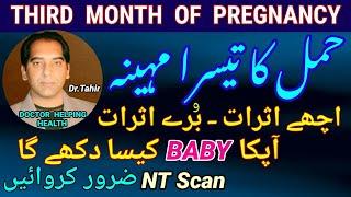 Third Month of Pregnancy in Urdu/Hindi | 3rd Month of Pregnancy |Hamal ka teesra mahina |Pregnancy