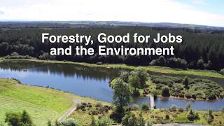 Dept of Agriculture, Food and the Marine - Forestry