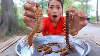 Mukbang centipede fried with chili sauce - Cook and eat centipede