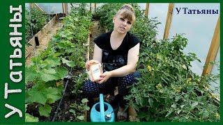 СОДА - спасатель вашего огорода! Пищевая сода - подкормка для: огурцов, томатов и других растений
