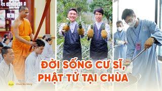 Đời sống của cư sĩ, Phật tử tập tu tại chùa - Nếp sống chốn thiền môn | Chùa Ba Vàng