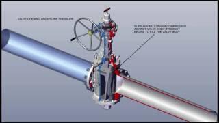 DAN-EX Double Block and Bleed Plug Valve Animation