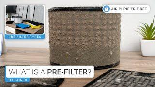 What is an Air Purifier Pre-filter? What is its Main Purpose? 