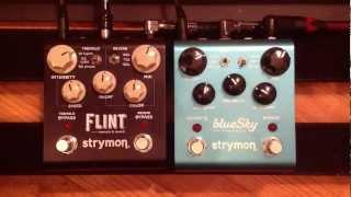 Strymon Flint Reverb vs Strymon Blue Sky Reverberator