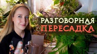 Разговорная ПЕРЕСАДКА | Занимаюсь растениями и болтаю