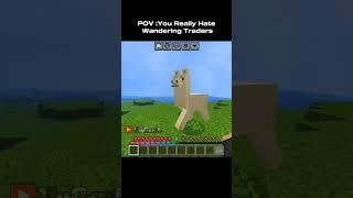 Minecraft WHAT Moment 4