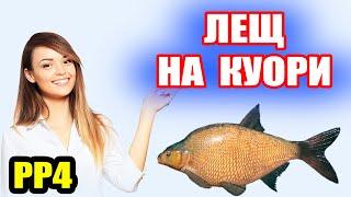 Проснулся Лещ на оз. Куори● Русская Рыбалка 4 | РР4