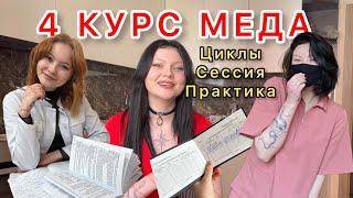 Мой 4 курс в медицинском: ЦИКЛЫ, экзамены, зачеты, ПРАКТИКА, мои впечатления