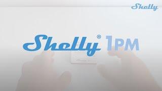 Shelly How to... - Shelly 1PM