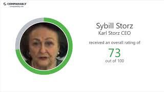 Karl Storz Employee Reviews - Q3 2018