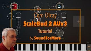Cem Olcay ScaleBud 2 AUv3 Midi Keyboard - Tutorial