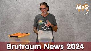 Ballpython News 2024 | Reptil TV