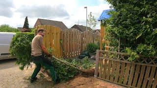 "I Want You to REMOVE My UGLY Hedge", So the Homeowner Told Me