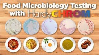 HardyCHROM™ Chromogenic Media for Food Safety Testing