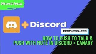 How to Talk in Two Different Servers with Discord Canary | Push to Mute & Push to Talk