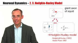 CNS2.3 - Hodgkin-Huxley Model