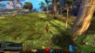 Guild Wars 2 Gameplay