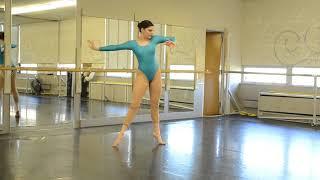 HD2150T HDW DANCE River Blue Polyester Spandex Holographic Long Sleeve Leotard