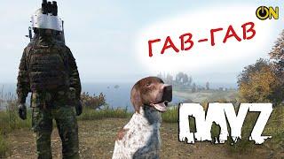 Собаки DayZ - Атмосферный гайд на мод Dog