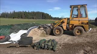 Futtermischen in Unterstand + Kühe füttern